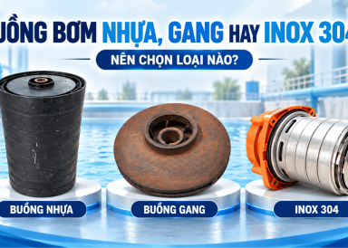 Buồng bơm nhựa gang inox (1)